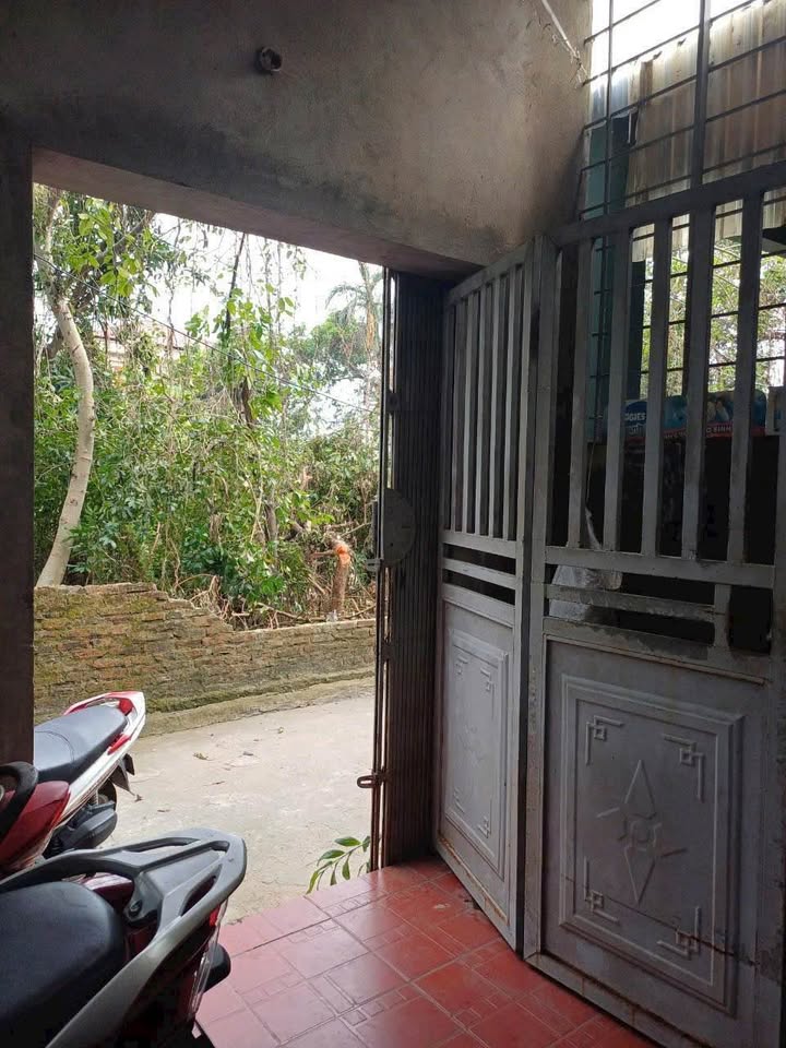 Nhà Riêng An Trì, Hồng Bàng 50m² - Ô tô vào tận nhà, Sổ đỏ sẵn!