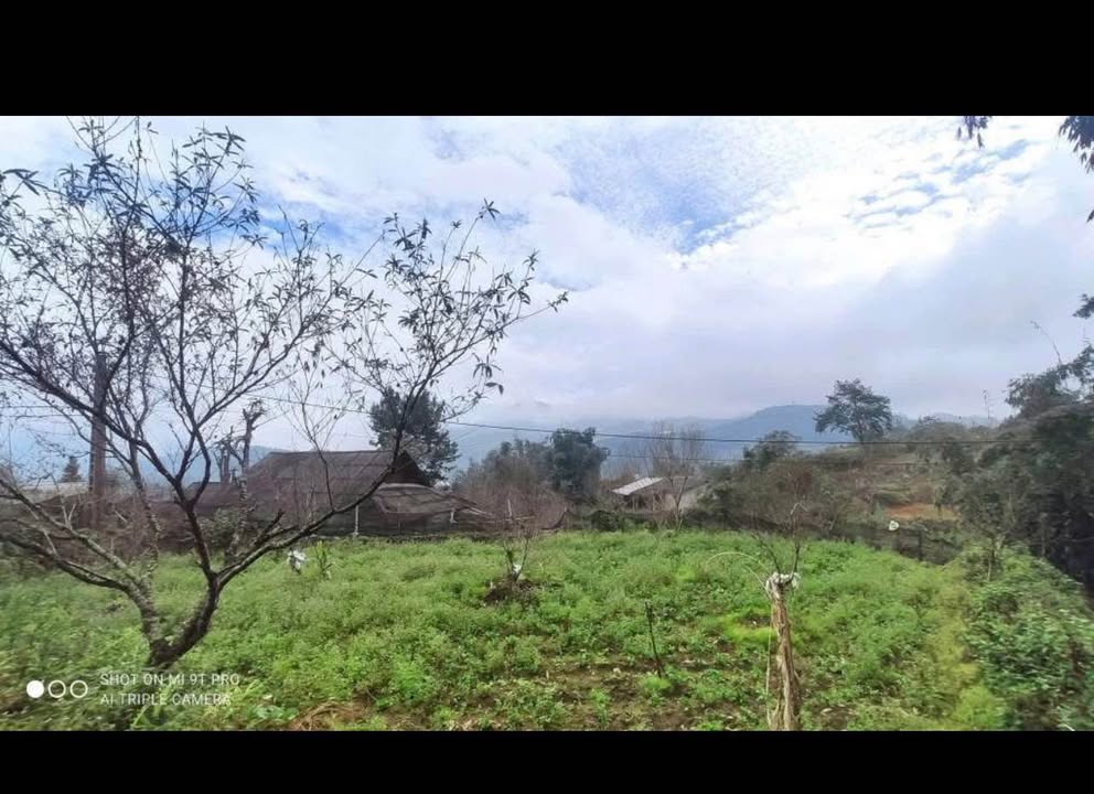 Đất Vàng Tả Phìn - Sa Pa 1.224m² Sổ Đỏ Chính Chủ, 3 Mặt Tiền Hướng Thủy