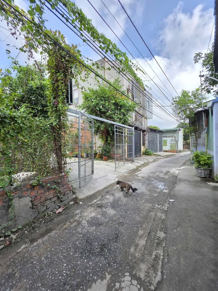 Đất nền Dĩ An 100m² giá 4.5 tỷ - Sổ đỏ chính chủ, xây tự do!