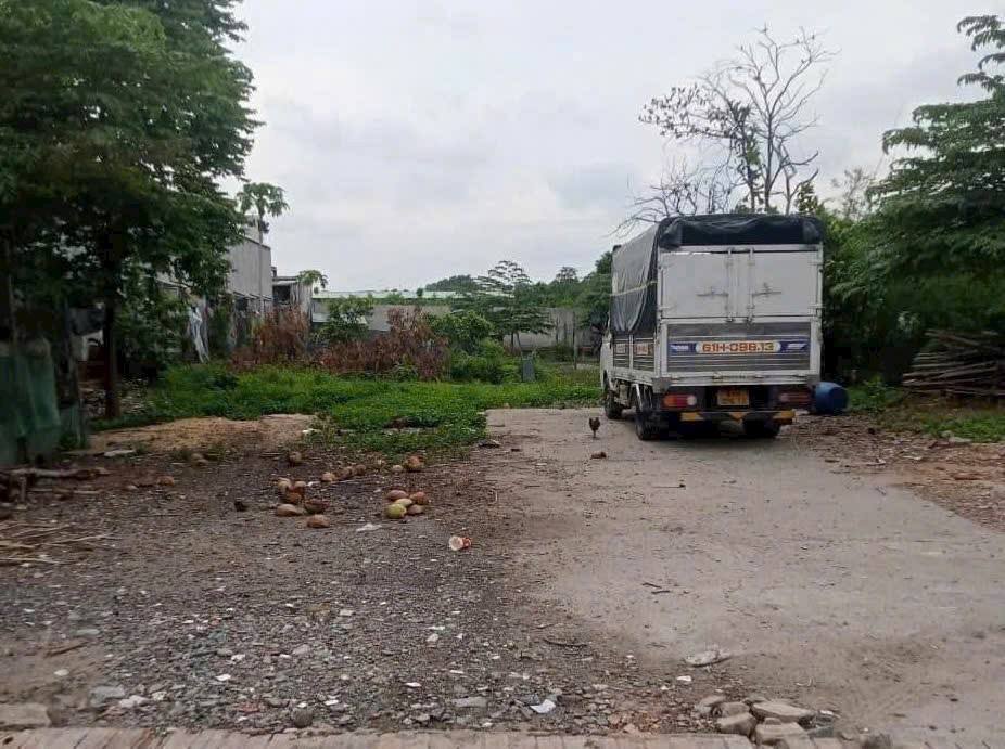 Đất Vàng 1823m² Tân Vĩnh Hiệp, T.Uyên - Sổ Hồng Riêng, Giá 12 Tỷ