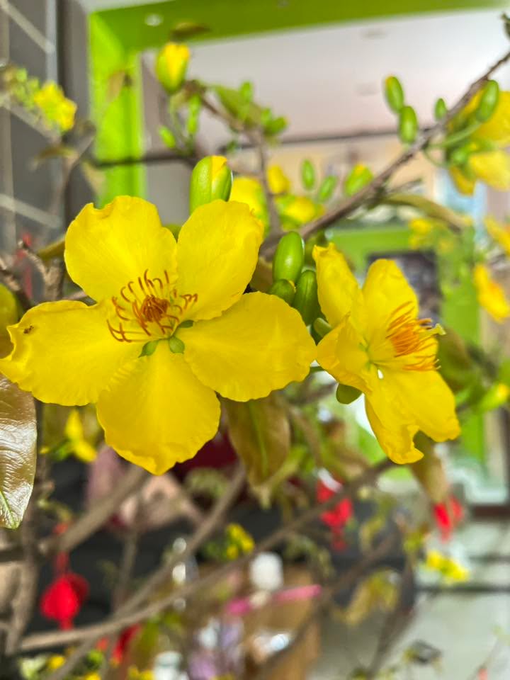 Nhà Hẻm Xe Hơi Lê Văn Sỹ, Bình Thạnh - 30m², 4PN, Giá Thỏa Thuận