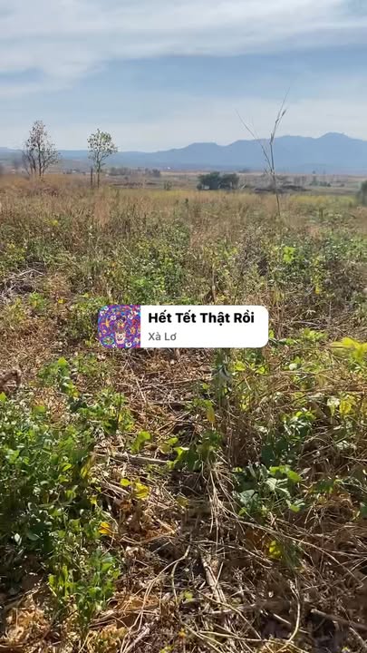 Đất nền Ia Le, Chư Pưh 2.7ha giá chỉ 550 triệu - Cơ hội đầu tư tốt!