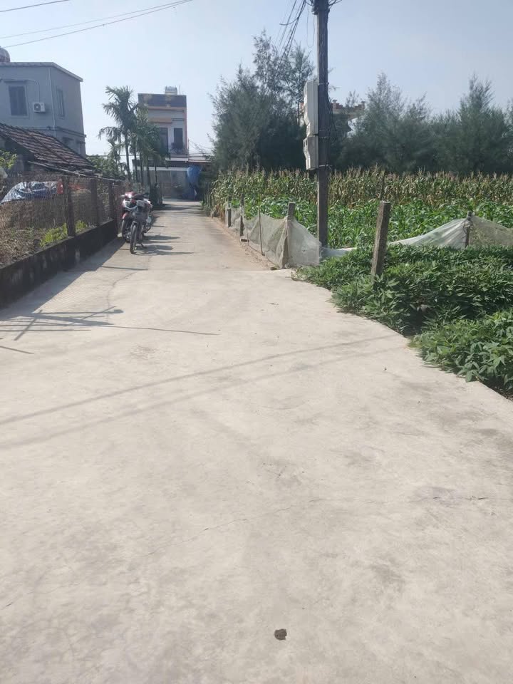 Bán Đất Nam Định 185m² - Sổ Đỏ Chính Chủ, Gần Trường Mầm Non