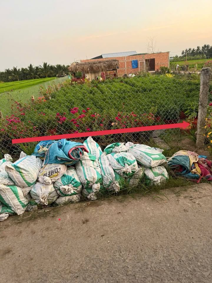 Đất nền Củ Chi 175m² - Sổ đỏ chính chủ, giá 589 triệu/lô