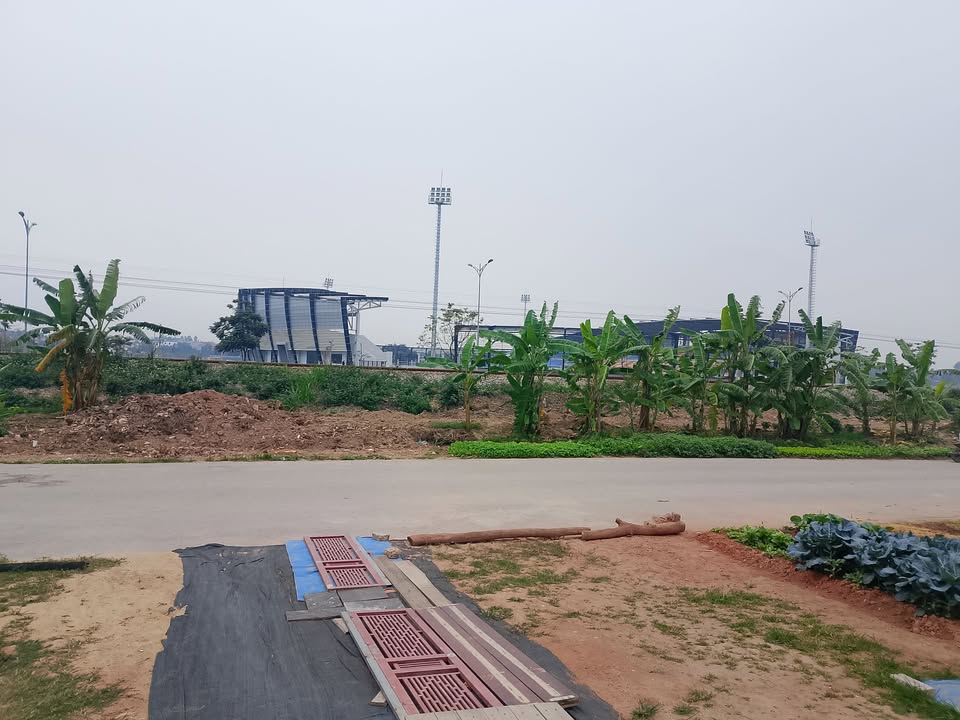 Đất nền Lý Thái Tổ 100m² Vĩnh Phúc - Tiềm năng tăng giá vượt trội!