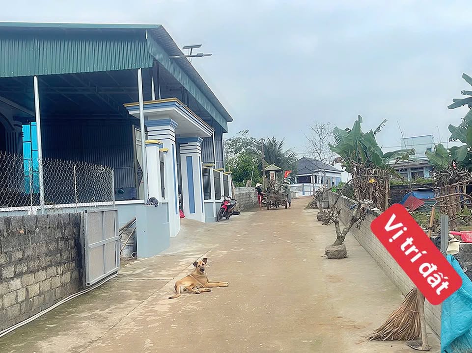 Đất nền Thọ Dân, Triệu Sơn - 132m² Sổ đỏ, Sẵn sàng giao dịch