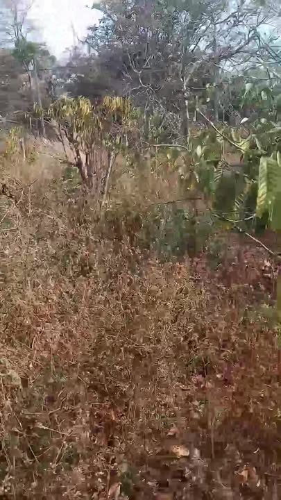 Đất nền Ea Na, Krông A Na 600m² giá 1.4 tỷ - Sổ đỏ chính chủ!