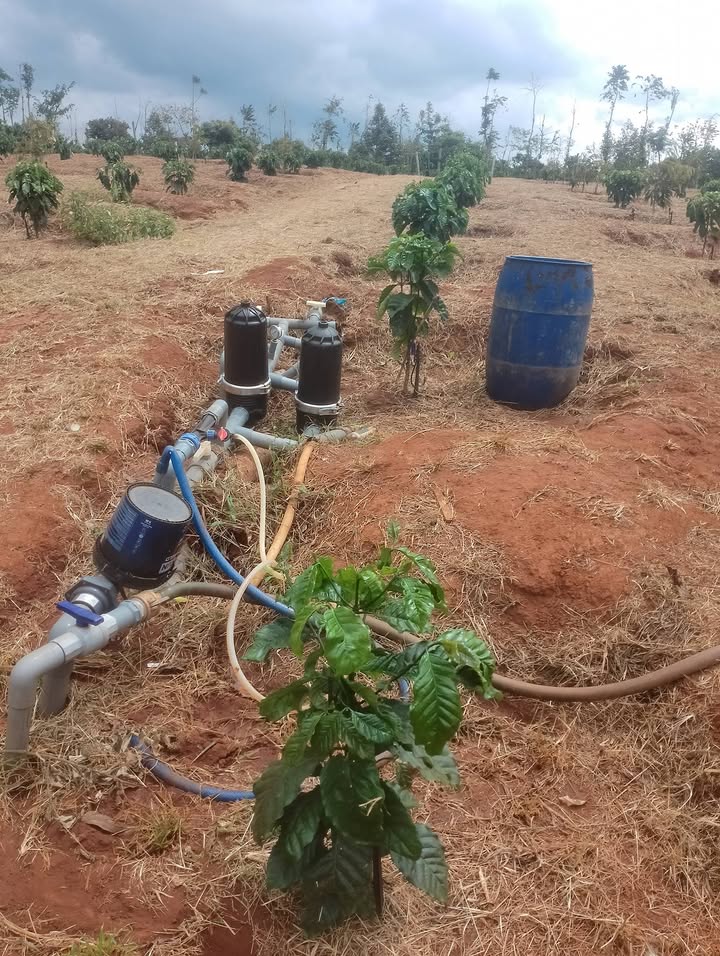 Đất nền 2736m² Cư M'gar, Đắk Lắk - Giá Đầu Tư 1.3 Tỷ