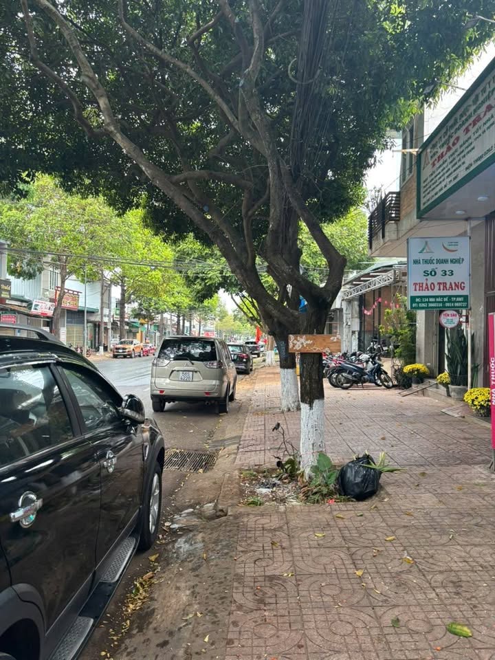 Nhà mặt tiền Mai Hắc Đế Tuy Hòa 75m² - Vị trí đẹp, phù hợp kinh doanh & ở!