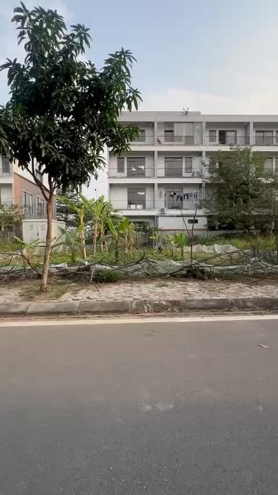 Đất nền TMS Phúc Yên 75m² 3.75 tỷ - Tiềm năng tăng giá vượt trội!