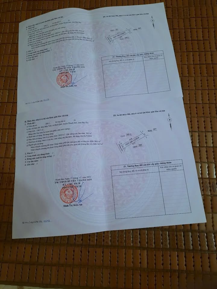 Đất nền Thanh Sơn, Phú Thọ 500m² - Sổ đỏ chính chủ
