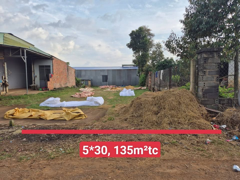 Bán Đất Thổ Cư 135m² Hẻm Bùi Viện, Pleiku - Giá 5xx Tỷ