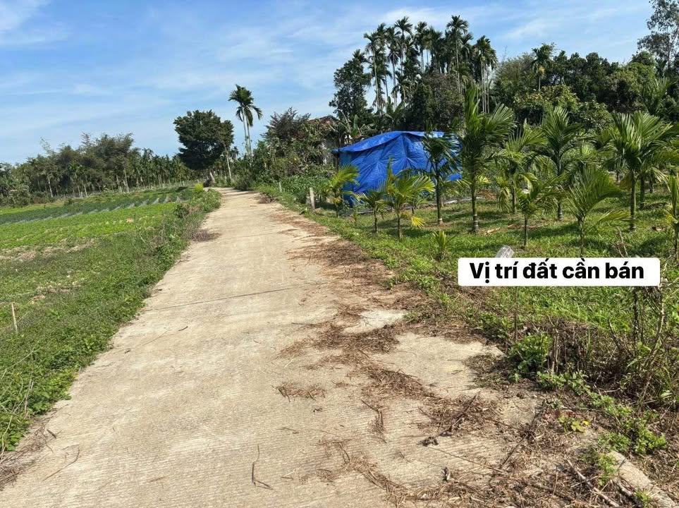 Bán đất vườn Nghĩa Trung 800m² hơn 100 triệu - Nghỉ dưỡng lý tưởng!