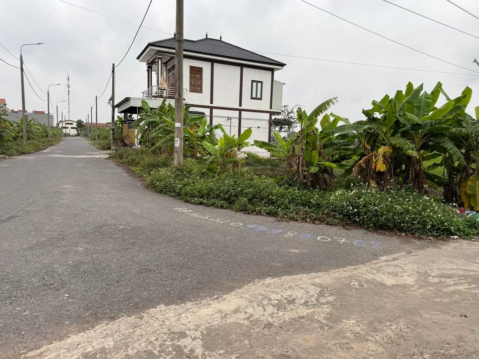 Đất đấu giá Nam Thái Nam Trực 115m² 1.15 tỷ - Sổ đỏ chính chủ