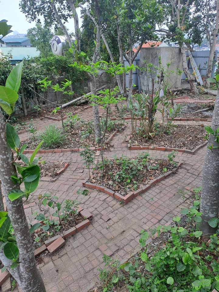 Đất nền Hạ Long QL18A 1000m² thỏa thuận - Đường to ô tô