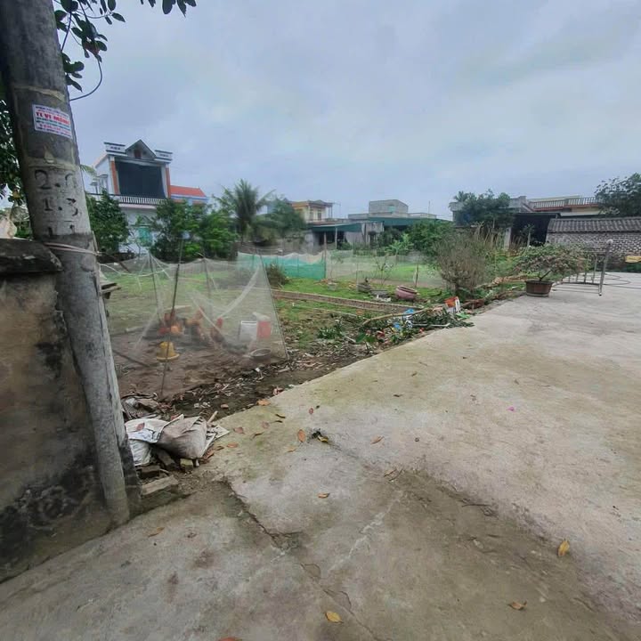 Đất nền Quỳnh Hưng 105m² Thái Bình – Đường ô tô vào tận nơi!