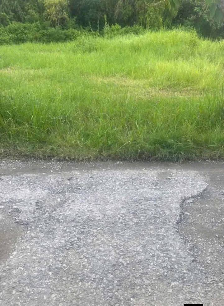 Đất Bình Thới Bình Đại 510m² 2.21 tỷ - Sổ đỏ chính chủ