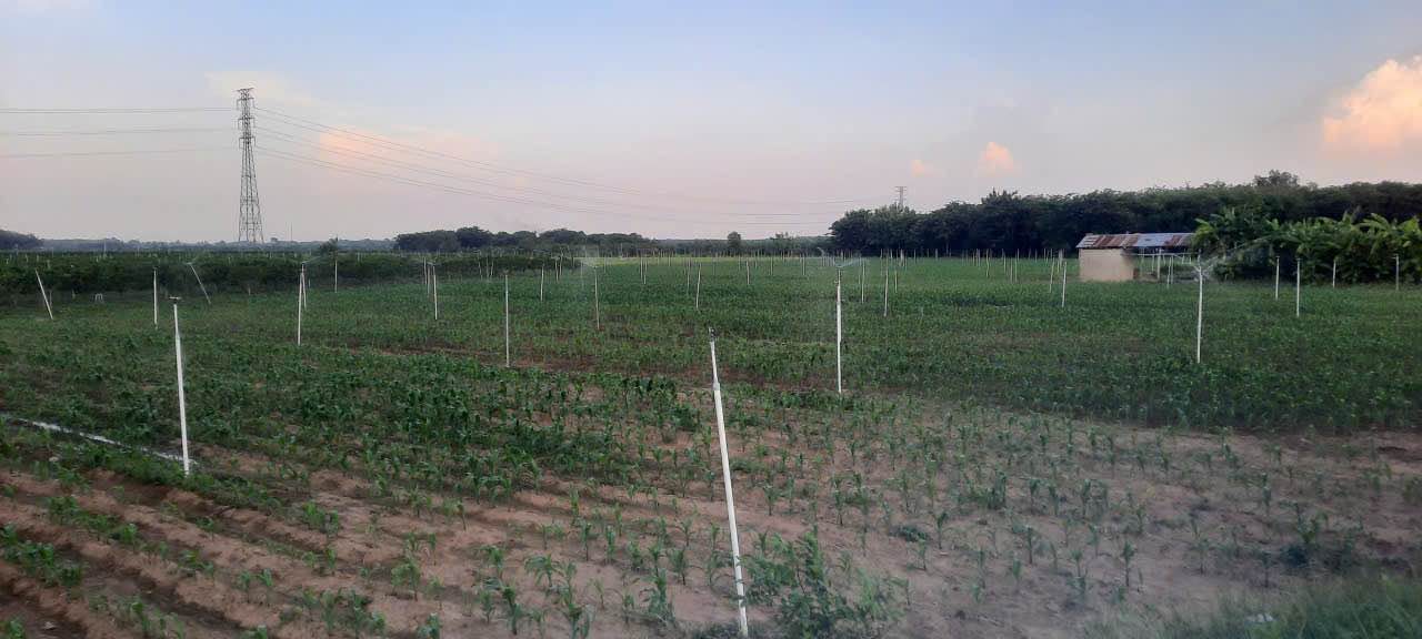 Đất nền Thạnh Tân 3960m² giá 6.4 tỷ - Sổ đỏ chính chủ!