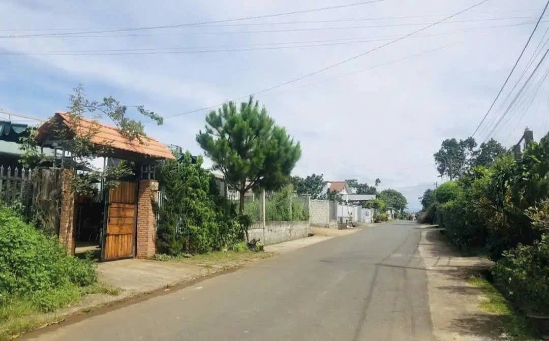 Nhà Cải Tạo 156m² Hẻm Lê Phụng Hiểu, Bảo Lộc - 2.9 Tỷ