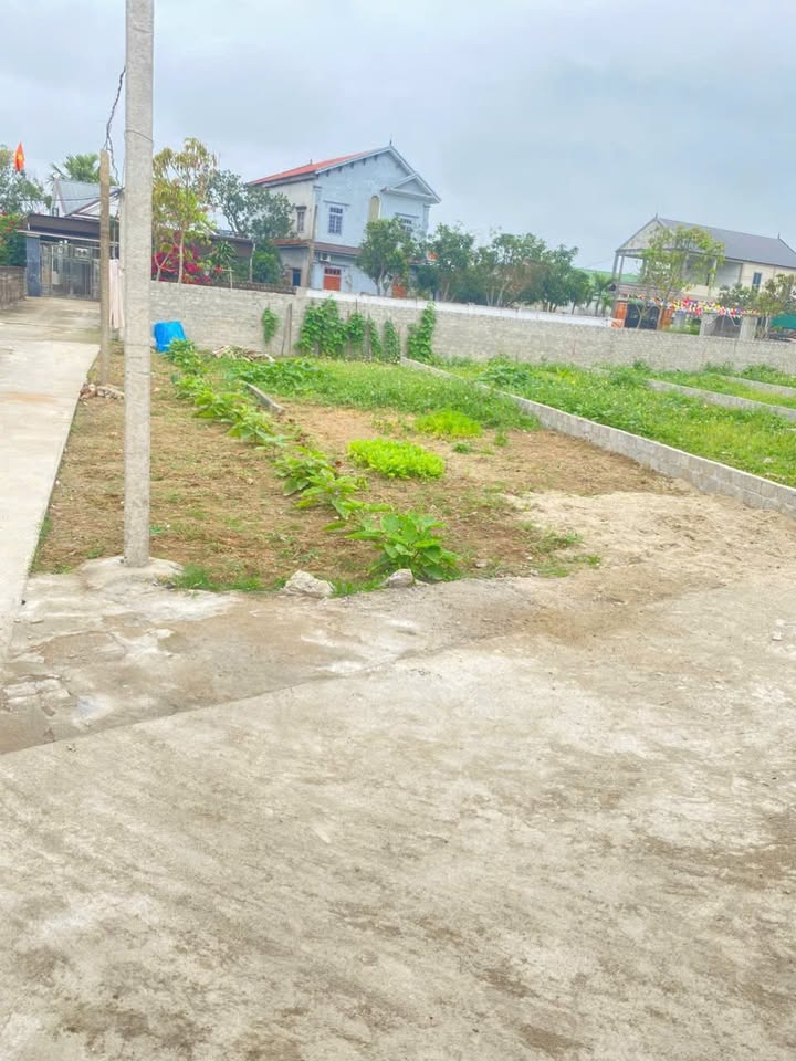 Bán Đất Lô Góc Nghi Trường, Nghệ An - 105m² - Sổ Đỏ Sẵn Sàng
