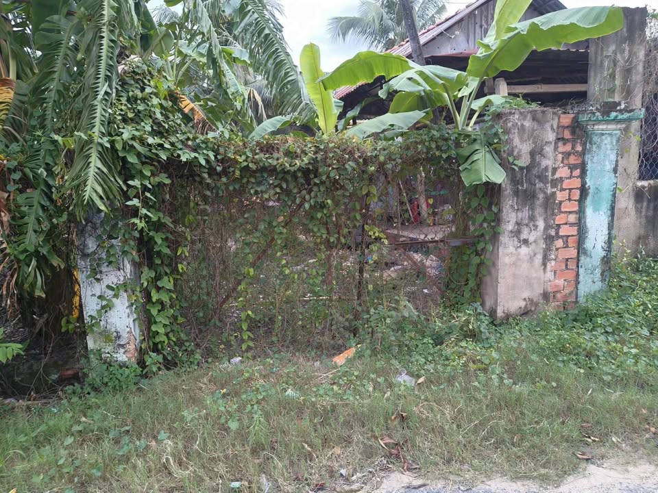 Đất Nền Lợi Thuận 396m² giá 850 triệu - Sổ đỏ chính chủ!