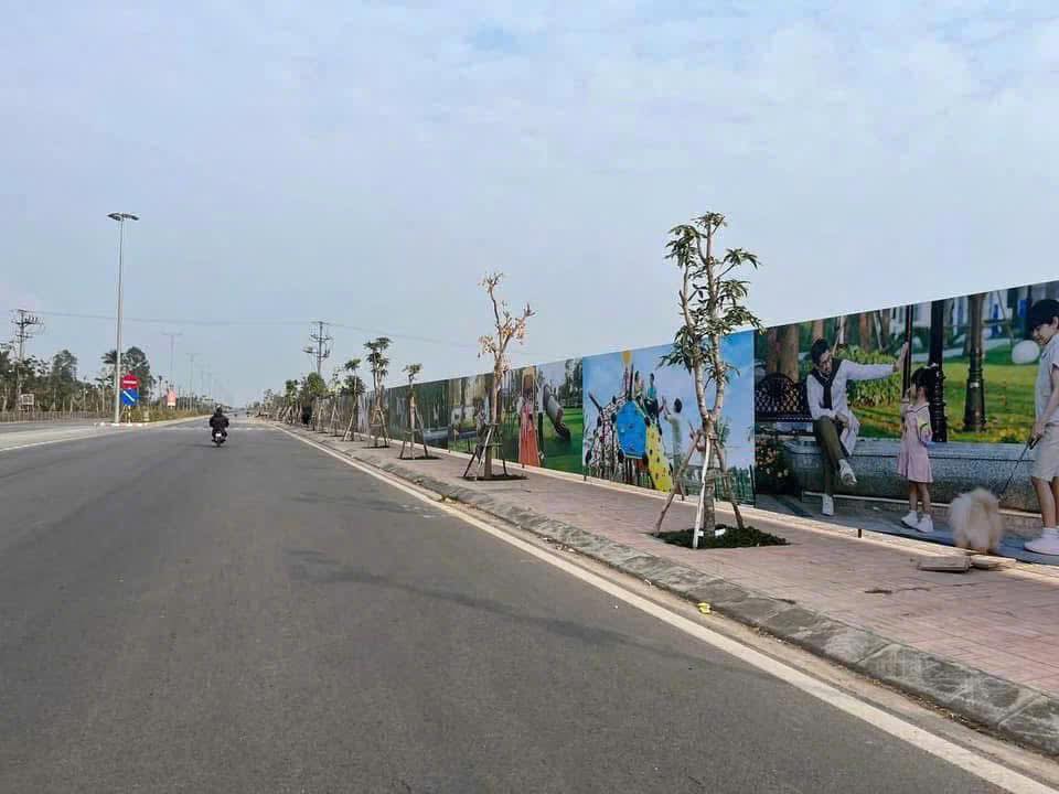 Đất nền 1300m² Đường Xuân Diệu, Dương Kinh, Hải Phòng - Sổ đỏ, Tiềm năng sinh lời