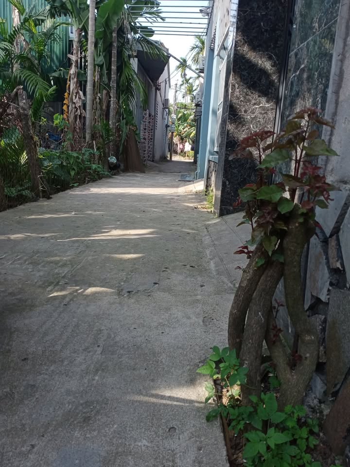 Đất Nền Nghĩa Lộ, Quảng Ngãi 119m² - Sổ Đỏ Sẵn Sàng, Giá Tốt