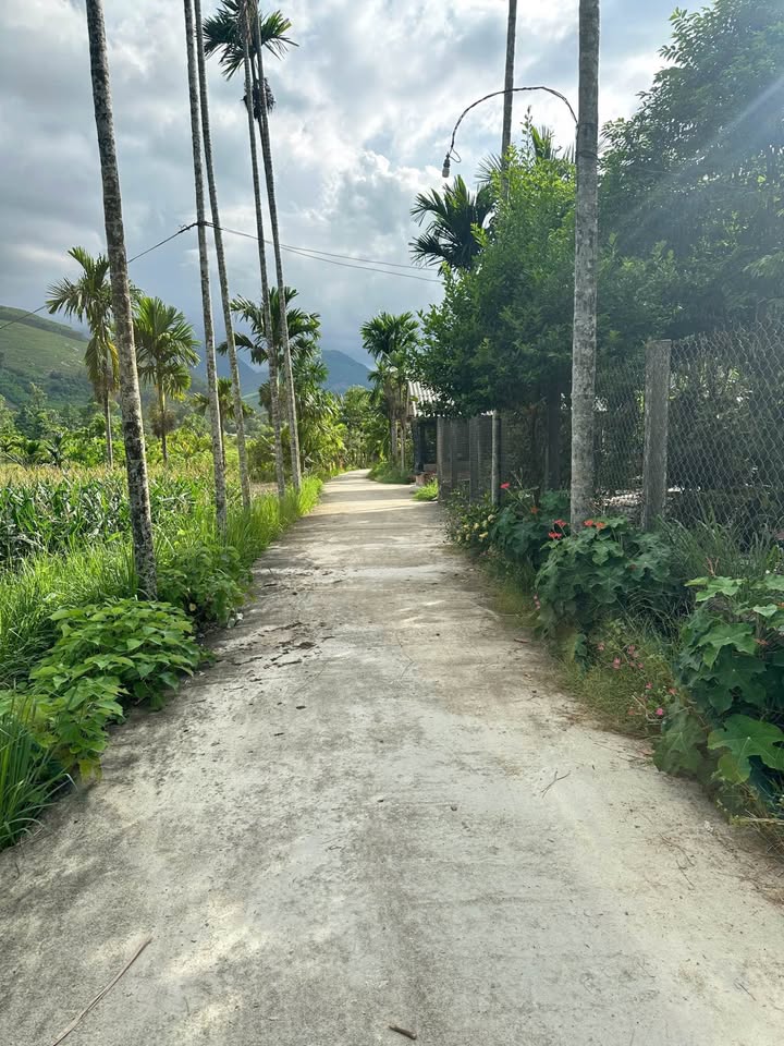 Đất nền Nghĩa Thuận, Tư Nghĩa 323.7m² – Sổ đỏ chính chủ, giá tốt!