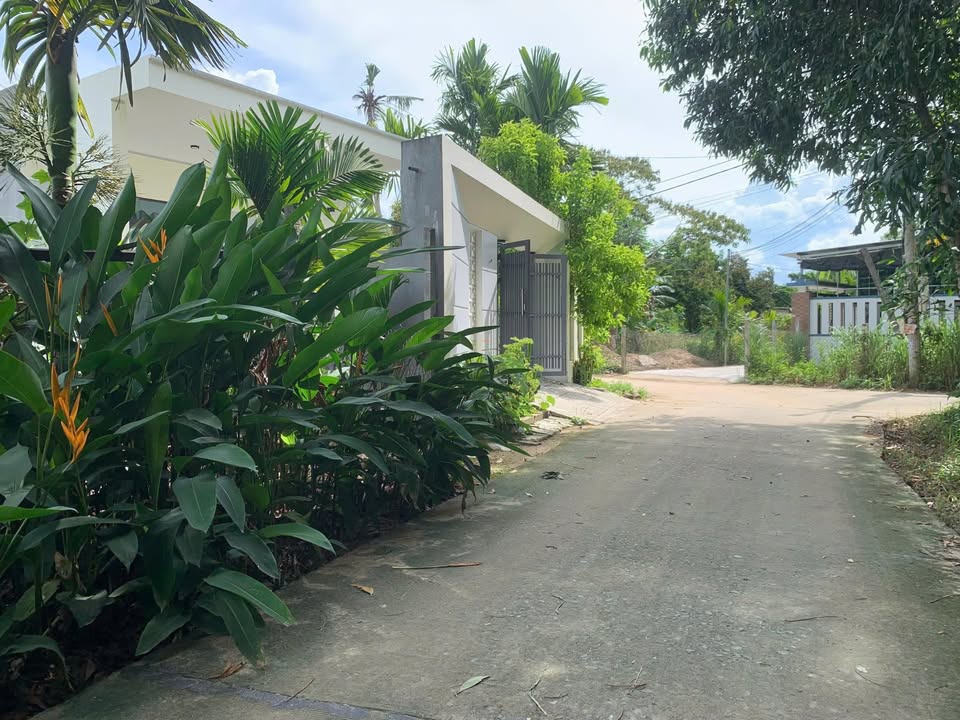 Đất Nền Thôn Cộng Hòa 2, Quảng Ngãi - Sổ Đỏ 138m² Hướng Bắc, Giá Tốt