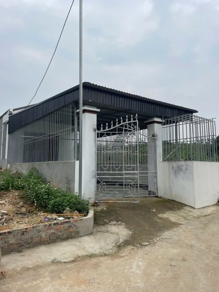 Nhà Cấp 4 Phú Thọ 163m² - Giá 1 Tỷ, Sẵn Sàng Ở Ngay