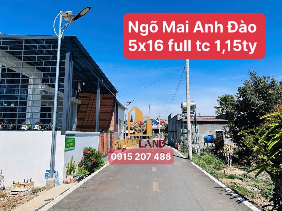 Đất nền Mai Anh Đào Đức Trọng 81m² – Sổ đỏ chính chủ, giá tốt!