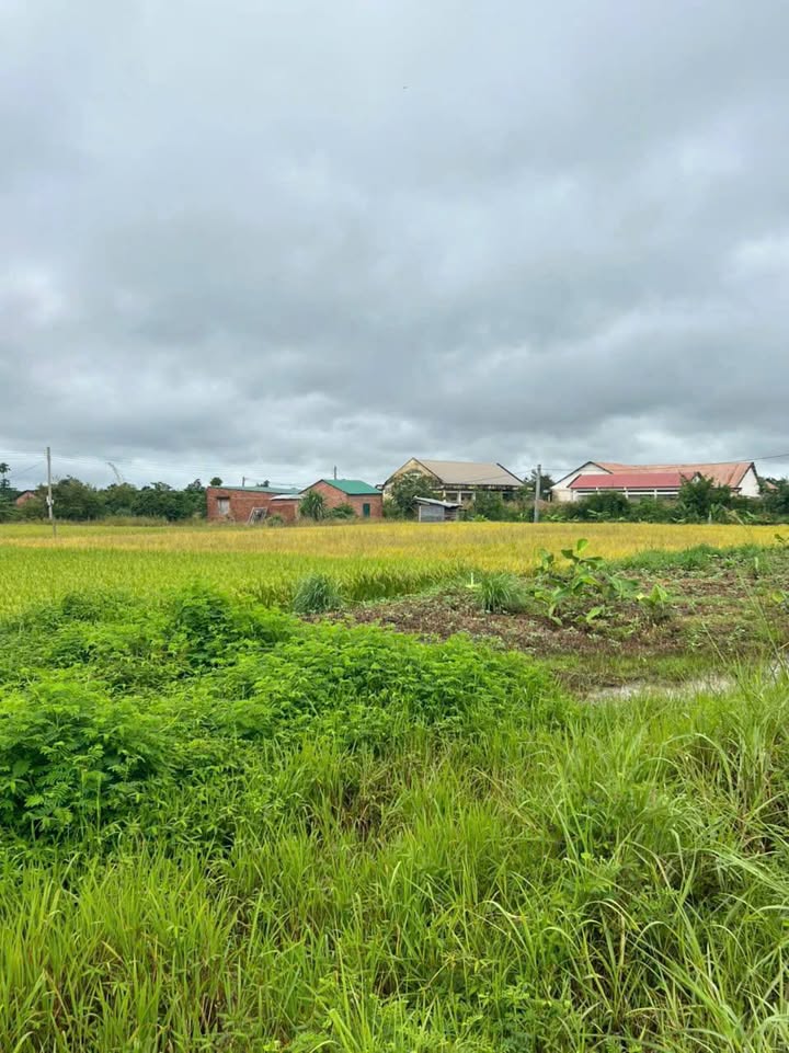 Đất Nền Eapo Đăk Nông 396m² Sổ Đỏ Full Thổ Cư Giá Rẻ 420 Triệu