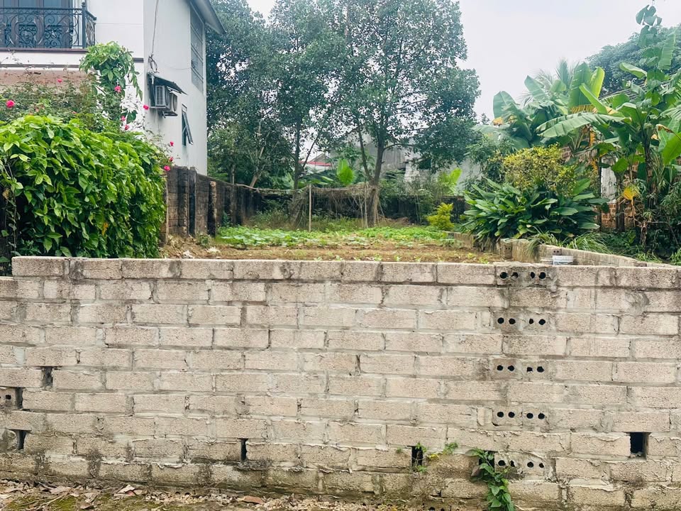 Đất Vàng Sơn Tây 202m² - Sổ Đỏ Vuông Vắn - Giá Đầu Tư 4.04 Tỷ