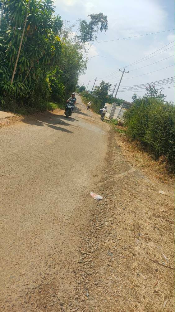 Đất vườn Lộc Đức Bảo Lâm 3ha giá tốt - Nghỉ dưỡng lý tưởng!