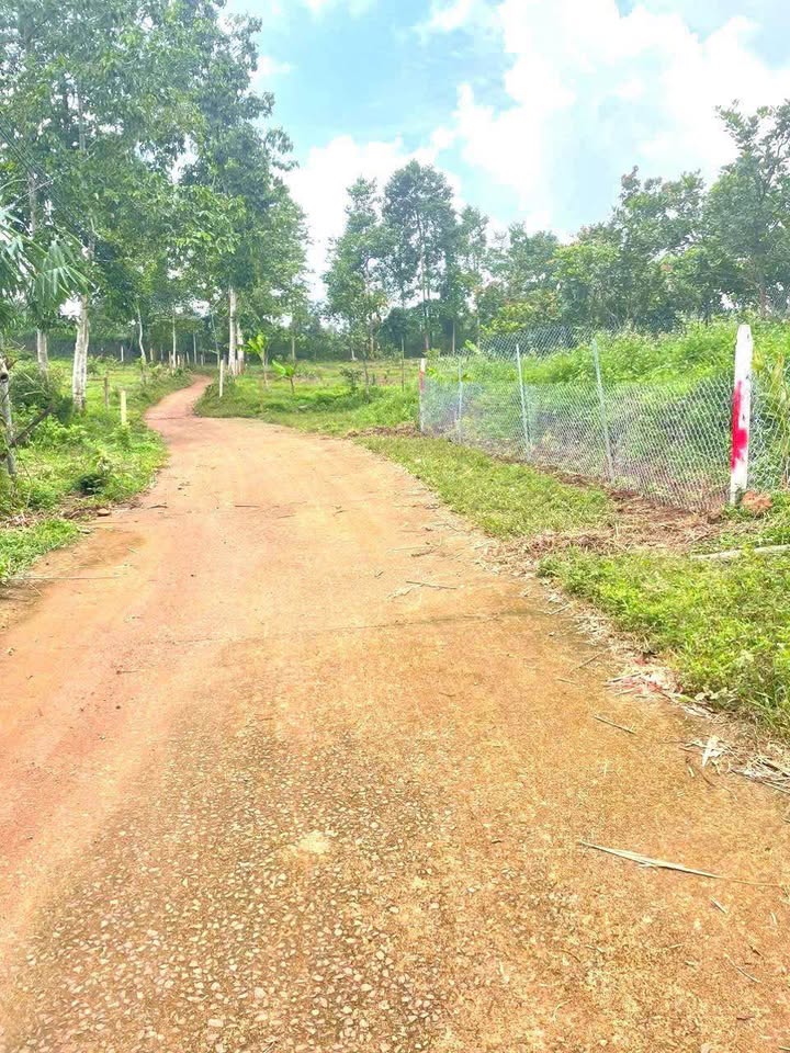 Đất nền Suối Tre, Biên Hòa 500m² giá 530 triệu - Sổ đỏ chính chủ