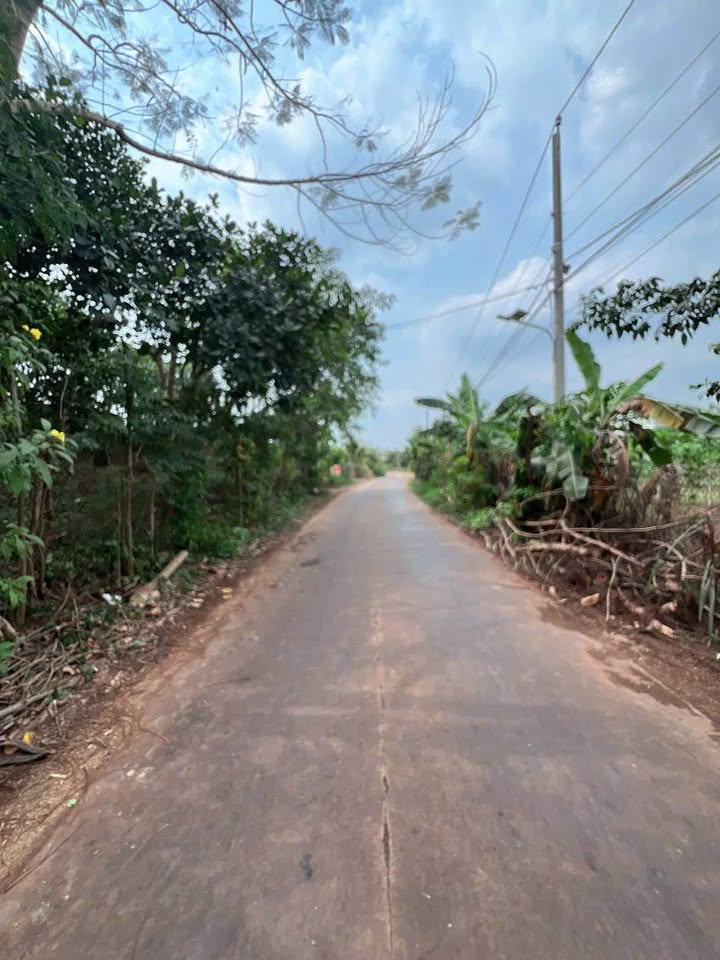 Đất Nền 360m² Xuân Phú, Biên Hòa - Mặt Tiền Bê Tông 10m, Giá 900 Triệu