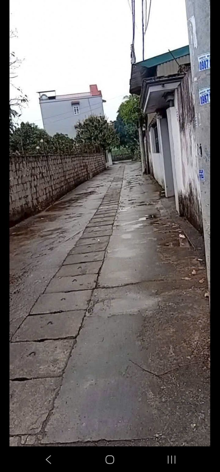 Đất nền Phủ Lý, Hà Nam 100m² – Thổ cư 100%, ô tô vào tận nơi!