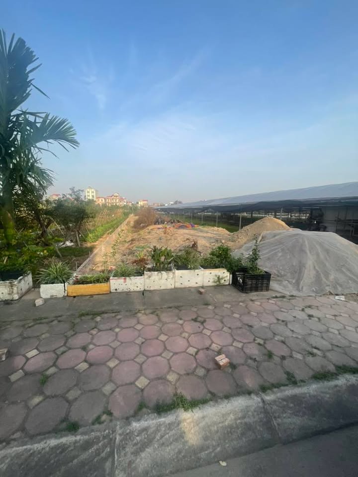 Đất Vườn Đông Anh 846m² - Cơ Hội Đầu Tư Vàng, Giá Giảm Sâu