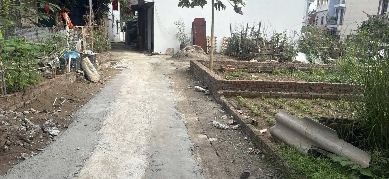 Đất nền Đông Anh 60m² - Ô tô vào tận nơi, sổ đỏ chính chủ!