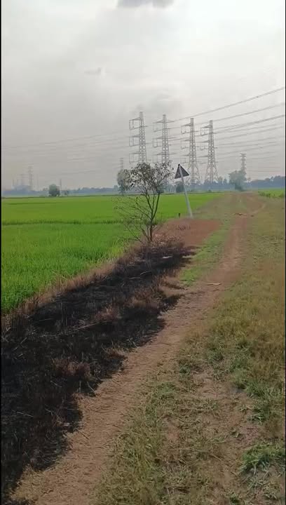 Đất Vàng Củ Chi 4816m² Mặt Tiền Giồng Cát - Sổ Hồng Sẵn Sàng Đầu Tư