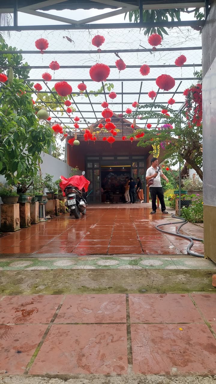 Nhà vườn Bình Mỹ Củ Chi 1036m² giá 8.6 tỷ - Nghỉ dưỡng lý tưởng!