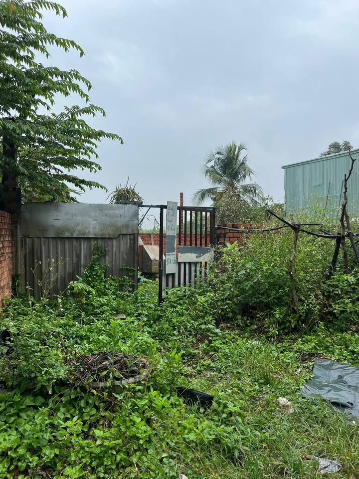 Bán Gấp Đất Hóc Môn 100m² Sổ Đỏ Riêng - Giá Rẻ 600 Triệu