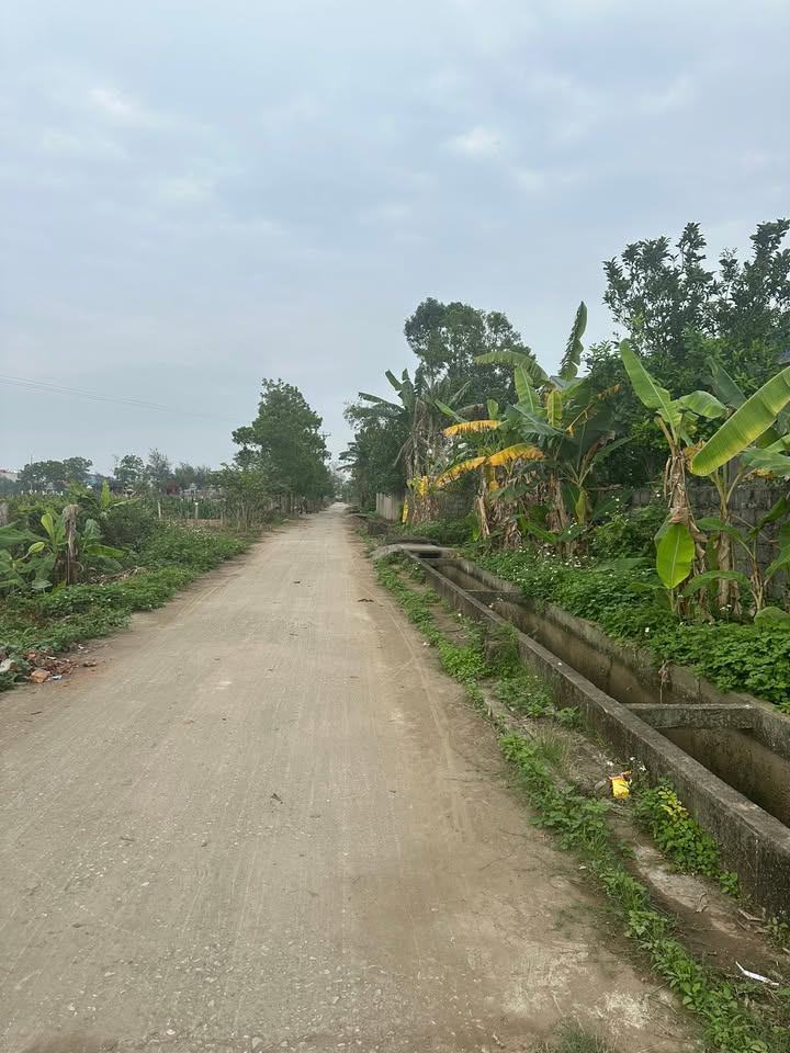 Bán Đất 90m² Vũ Lễ, Kiến Xương - Giá Tốt Nhất, Sổ Đỏ Riêng