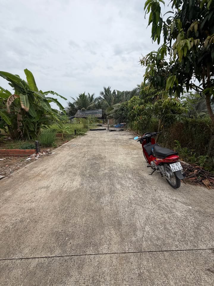 Đất nền Hẻm Mai Bá Hương, Long An 95m² giá 1 tỷ - Sổ đỏ chính chủ