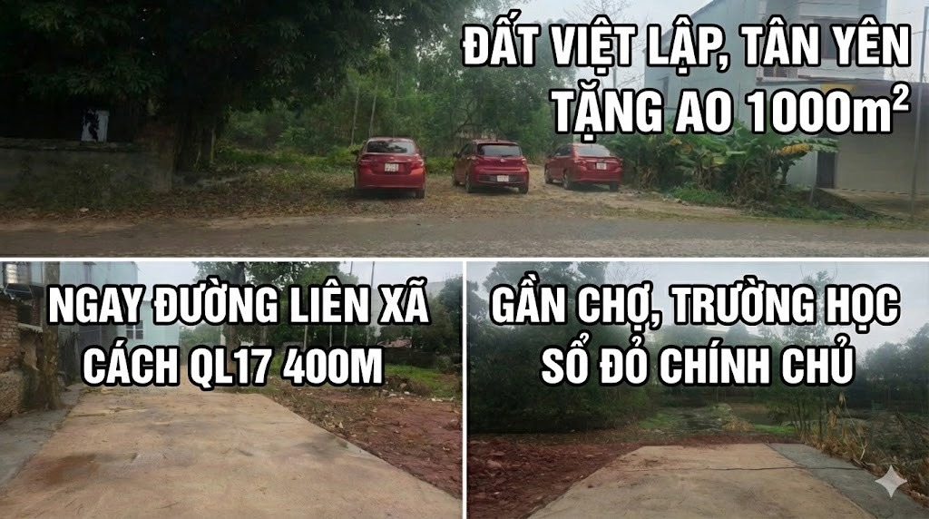 Đất Vườn Việt Lập 286m² - An Yên Cách Phố 10km, Sẵn Sổ Đỏ