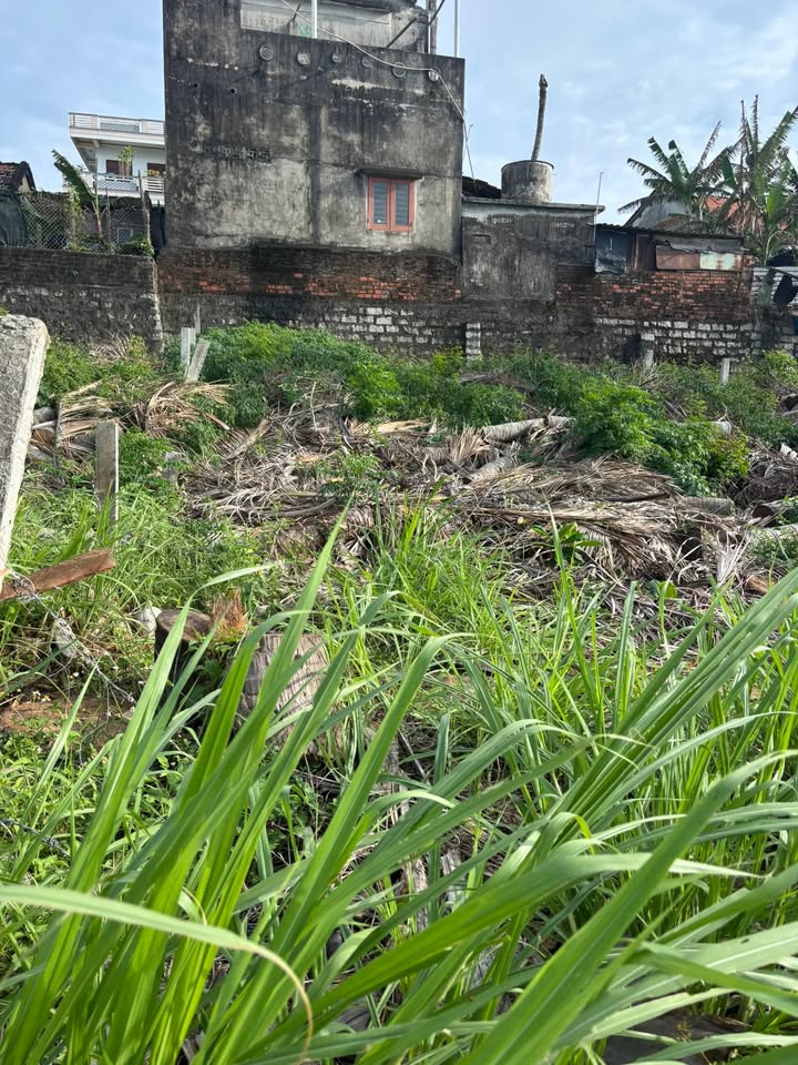 Đất nền Phượng Hoàng, Tuy Hòa 200m² - Sổ đỏ, Hẻm ô tô, Giá 1 tỷ