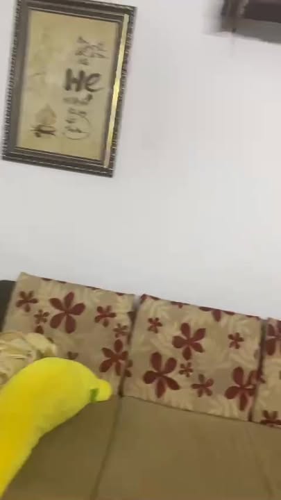 Cho thuê nhà nguyên căn Kiệt Lê Thanh Nghị, Hải Châu - 1PN, Giá 6 Triệu/Tháng