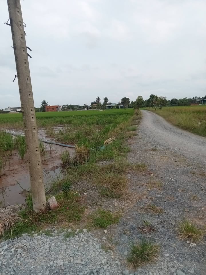 Đất thổ cư 196m² Long Hóa, Cần Đước - Sổ hồng sẵn, giá 1.1 tỷ