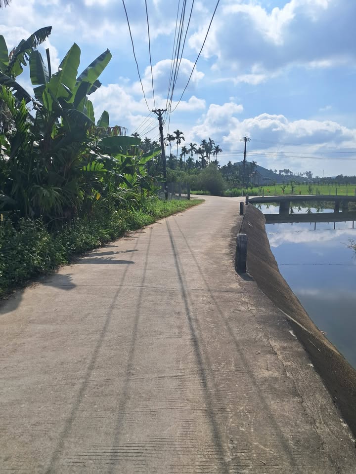 Đất nền Nghĩa Trung, Tư Nghĩa 1300m² – Đất thổ cư 100%