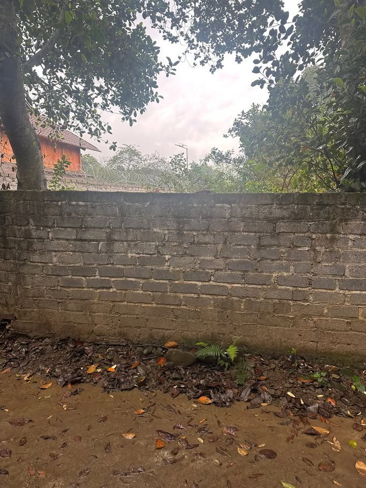 Đất Nền 105m² Lương Sơn, Hoà Bình - Thổ Cư Sẵn Sàng, Giá Chỉ 900 Triệu